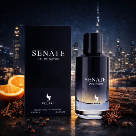 SENATE by Volare بديل عطر سوفاج من ديور