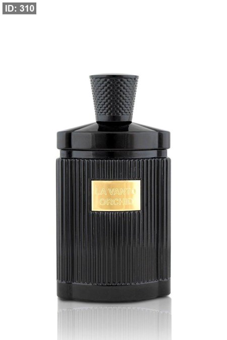 LA Vanto Orchid by Volare